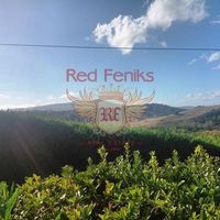 Вилла в Италии, Пиза, 300 кв.м.