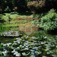 Вилла в Италии, Тронцано-Лаго-Маджоре, 800 кв.м.