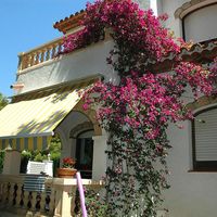 House in Spain, Catalunya, Ardiaca, 107 sq.m.