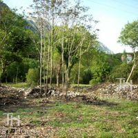 Земельный участок в Черногории