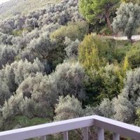 Flat in Montenegro, Budva, Przno, 43 sq.m.