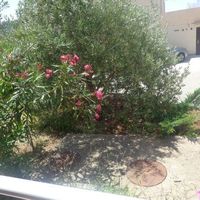 Flat in Montenegro, Budva, Przno, 44 sq.m.