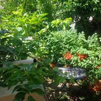 Flat in Montenegro, Budva, Przno, 44 sq.m.