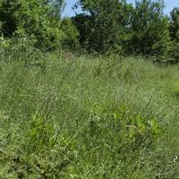 Land plot in Montenegro, Budva