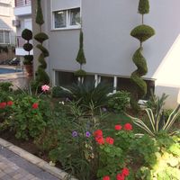 Квартира у моря в Турции, Аланья, 69 кв.м.