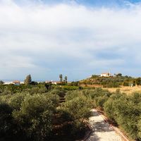 Villa in Republic of Cyprus, Polis, 178 sq.m.