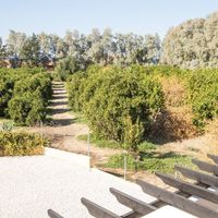 Вилла на Кипре, Полис