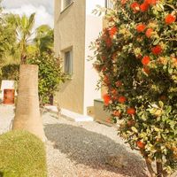 Вилла на Кипре, Полис, 165 кв.м.