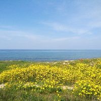 Другая коммерческая недвижимость у моря на Кипре, Пафос, 3500 кв.м.