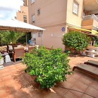 Apartment in the big city, at the spa resort, at the seaside in Spain, Comunitat Valenciana, Torrevieja, 60 sq.m.