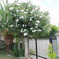 House in the suburbs in Montenegro, Kotor, 65 sq.m.