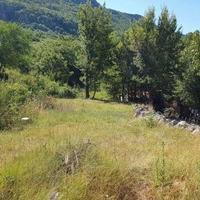 Земельный участок в пригороде в Черногории, Будва, Пржно