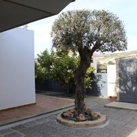 Вилла на Кипре, Пафос, 260 кв.м.