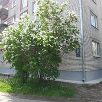 Flat in Latvia, Jurmala, 30 sq.m.
