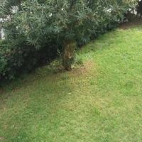 Flat in the city center in Spain, Comunitat Valenciana, Alicante, 85 sq.m.