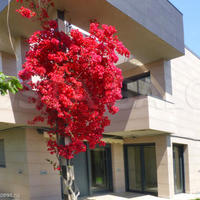 House in the city center in Spain, Catalunya, Begur, 309 sq.m.