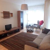 Apartment in the city center in Hungary, Budapest, 45 sq.m.