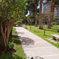 Apartment in the city center in Spain, Comunitat Valenciana, Alicante, 40 sq.m.