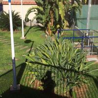 Flat in Spain, Comunitat Valenciana, 130 sq.m.