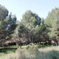 Land plot at the seaside in Spain