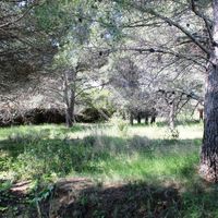 Land plot at the seaside in Spain