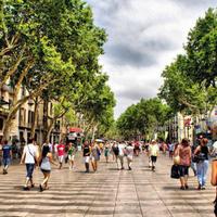 Apartment in the city center in Spain, Catalunya, Barri Gotic, 120 sq.m.