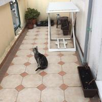 Flat in Montenegro, Budva, 68 sq.m.