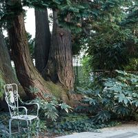 Villa in Switzerland, 1318 sq.m.