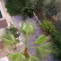 Flat at the second line of the sea / lake, in the city center in Turkey, 100 sq.m.