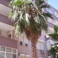 Flat at the second line of the sea / lake, in the city center in Turkey, 100 sq.m.