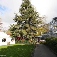 Apartment in the city center, at the first line of the sea / lake in Switzerland, Villeneuve, 139 sq.m.
