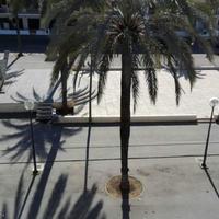 Flat in Spain, Balearic Islands, Palma