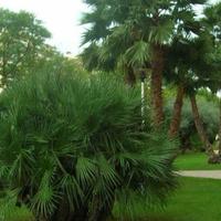 Flat at the second line of the sea / lake in Spain, Comunitat Valenciana, Alicante, 140 sq.m.