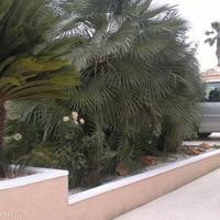 House in Spain, Comunitat Valenciana, Alicante, 170 sq.m.