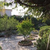 Вилла в пригороде на Кипре, Пафос, 490 кв.м.