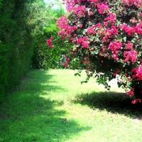 Вилла на первой линии моря/озера, в пригороде на Кипре, Пафос, 150 кв.м.