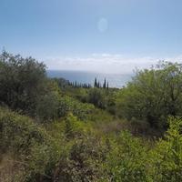 Land plot at the second line of the sea / lake in Montenegro, Budva, Przno