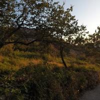 Land plot at the second line of the sea / lake in Montenegro, Budva, Przno