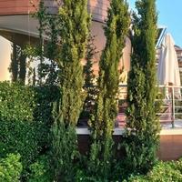 Flat at the first line of the sea / lake in Montenegro, Budva, 159 sq.m.