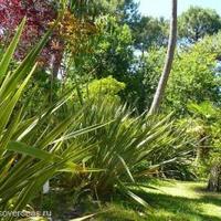 House in Guyane, 370 sq.m.