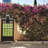 Townhouse in Spain, Comunitat Valenciana, Alicante, 100 sq.m.