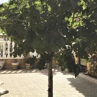 Townhouse in Spain, Comunitat Valenciana, Alicante, 100 sq.m.