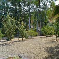 Villa in Spain, Andalucia, 174 sq.m.