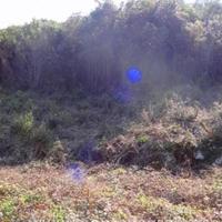 Земельный участок в Черногории