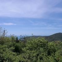 Земельный участок в пригороде в Черногории, Будва