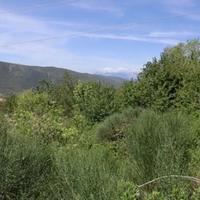 Земельный участок в пригороде в Черногории, Будва