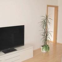 Flat Czechia, Karlovy Vary Region, Karlovy Vary, 90 sq.m.