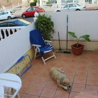 Бунгало в пригороде в Испании, Валенсия, Аликанте, 50 кв.м.