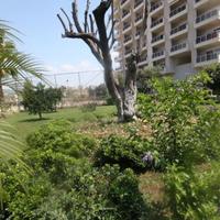 Апартаменты в пригороде в Турции, 90 кв.м.