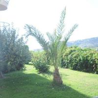 Квартира в пригороде в Турции, 55 кв.м.